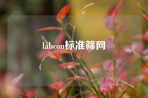 labcon标准筛网