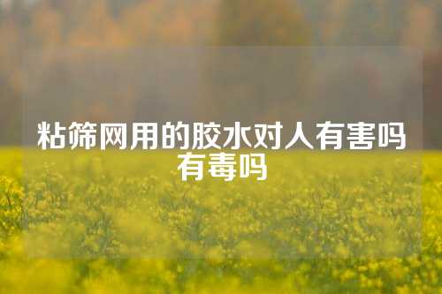 粘筛网用的胶水对人有害吗有毒吗