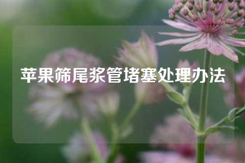 苹果筛尾浆管堵塞处理办法