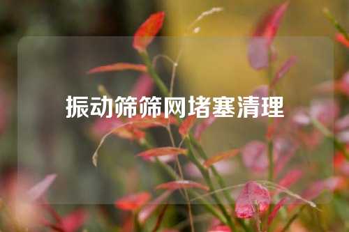 振动筛筛网堵塞清理