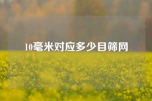 10毫米对应多少目筛网