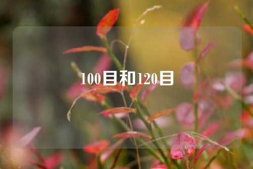 100目和120目