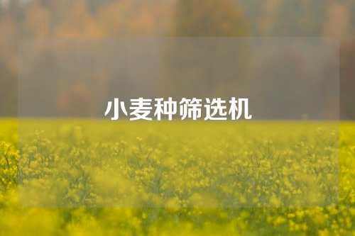 小麦种筛选机