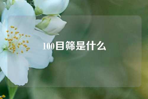 100目筛是什么