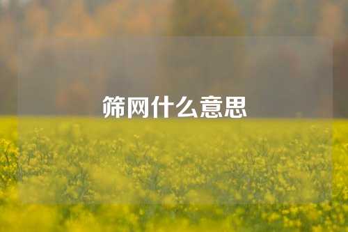 筛网什么意思