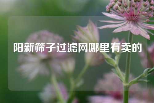 阳新筛子过滤网哪里有卖的