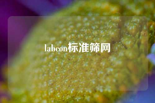 labcon标准筛网