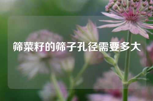 筛菜籽的筛子孔径需要多大