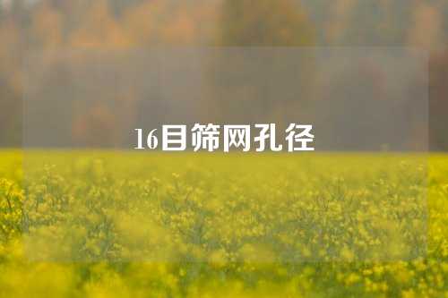 16目筛网孔径