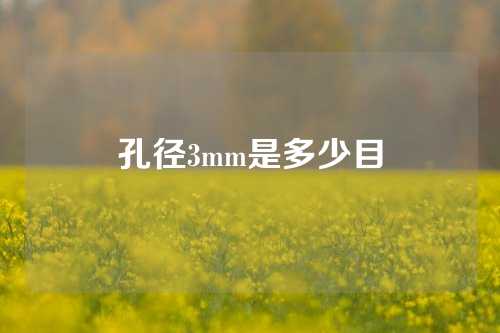 孔径3mm是多少目