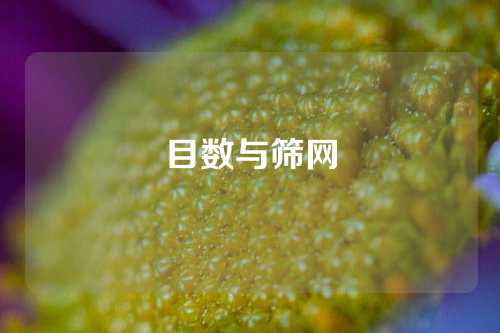 目数与筛网