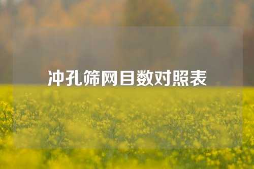 冲孔筛网目数对照表