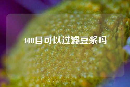 400目可以过滤豆浆吗