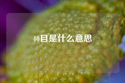 40目是什么意思