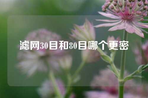 滤网30目和80目哪个更密