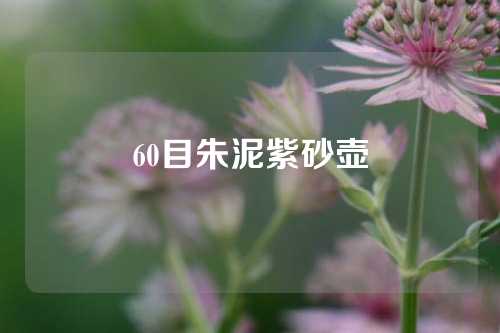 60目朱泥紫砂壶