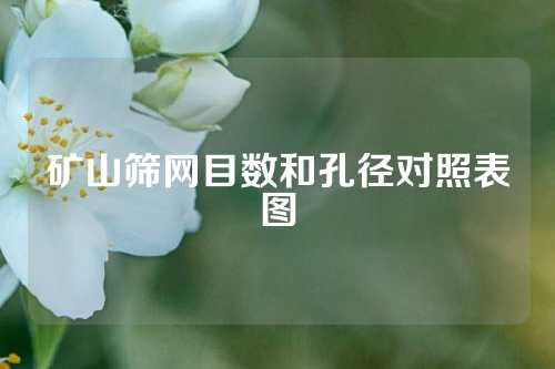 矿山筛网目数和孔径对照表图