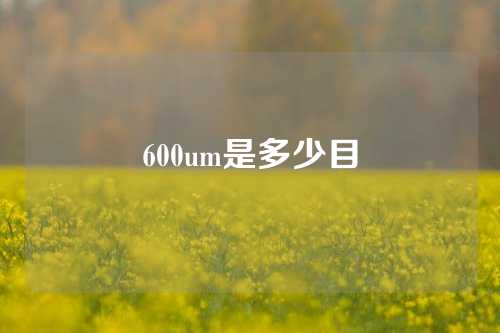 600um是多少目