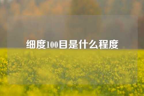 细度100目是什么程度