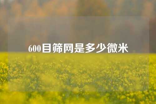 600目筛网是多少微米